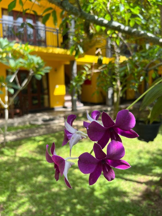 Hotel Easy Living Hikkaduwa Exterior foto